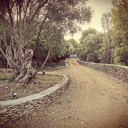 140 M2 Avec Piscine, Parc Privatif 5000m2 A Bonifacio-porto Vecchio *