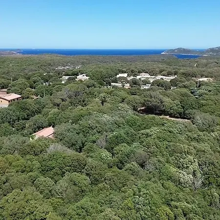 140 M2 Avec Piscine, Parc Privatif 5000m2 A Bonifacio-porto Vecchio * 보니파시오
