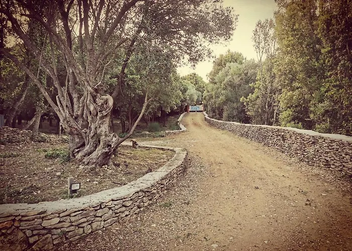 140 M2 Avec Piscine, Parc Privatif 5000m2 A Bonifacio-porto Vecchio *