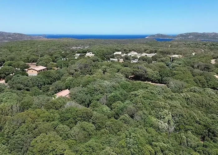 140 M2 Avec Piscine, Parc Privatif 5000m2 A Bonifacio-porto Vecchio * بونيفَسْيو